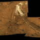 Illustration for article titled Celebrating Ten Years on Mars with NASAs Spirit Rover